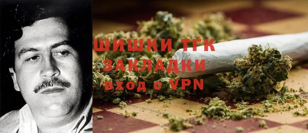 тгк Пролетарск