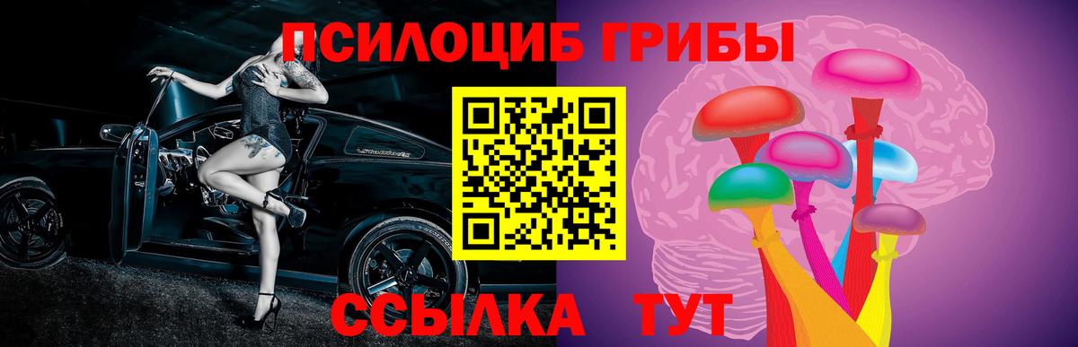 Азнакаево  Галлюциногенные грибы MAGIC MUSHROOMS  Вход с VPN 