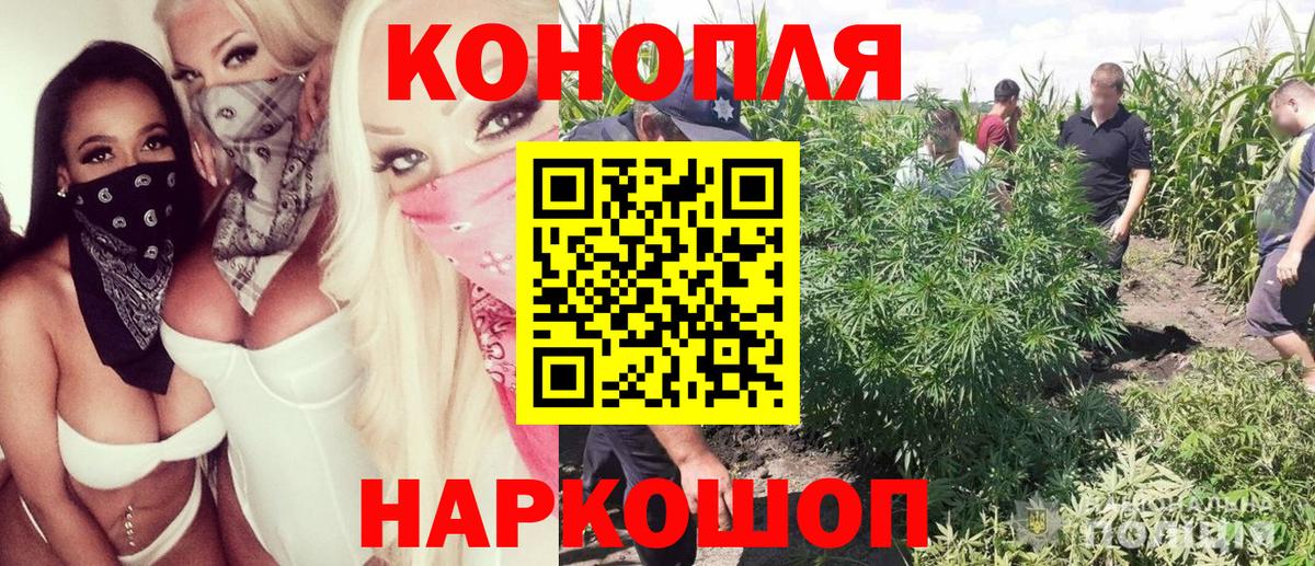 Канабис OG Kush  МАРИХУАНА Bruce Banner  Азнакаево  Канабис Bruce Banner 